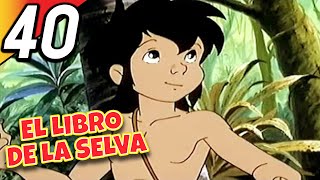 EL LIBRO DE LA SELVA | Episodio 40 Completo | Doblado en Español