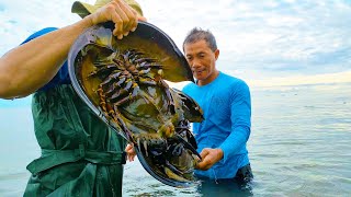 Niat Menjaring Ikan di Laut Malah  Dapat Hewan Mirip Aliens