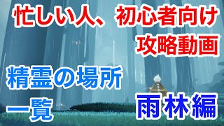 【忙しい人、初心者向け】精霊の場所 雨林編【Sky攻略】