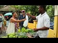 hidden green movement local curacao farmer gilbertico tico sirberie