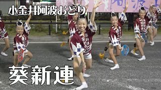 あおい～、可愛い～「葵新連」第40回小金井阿波おどり（2020.10.13）