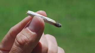 Marijuana decriminalization bill burns out in Indiana