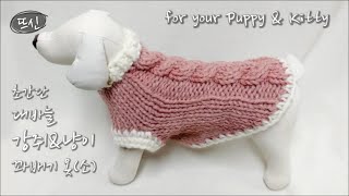 대충 뚝딱 만들어보는 대바늘 꽈배기 강아지 고양이 옷! How to Knit Puppy \u0026 Kitty Cloth