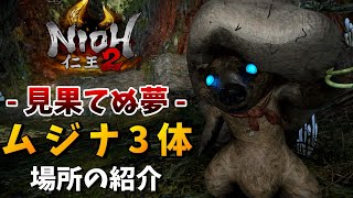 【仁王2】太初の侍秘史「見果てぬ夢」囚われたムジナの場所【DLC第3弾】NIOH2