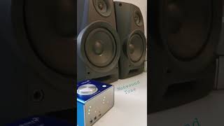 Nobsound - Tone Bass shaking #amp #miniamp #nobsound #bass #bassboosted #bassmusic