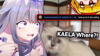 John cat tried looking for Kaela after Biboo mentions her name【Hololive】