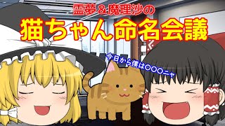 【ゆっくり茶番】猫ちゃん命名会議【vol 6】