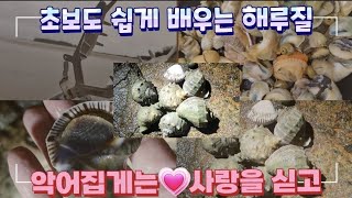 악어집게는 사랑을 싣고 해루질하다 큰일날뻔 #해루질, #소라, #포인트공개, #해루질사고