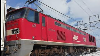 新潟近郊の貨物列車　高速貨物A　4058レ　新潟ター大阪タ