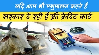 Pashu Kisan Credit Card: क्या है पशु किसान क्रेडिट कार्ड स्कीम, देखें क्या है फायदे