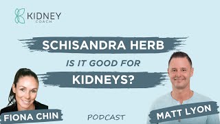 Schisandra: A Remedy for Kidney Health and Wellness | ft. Dr. Matt Lyon