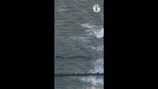Crews search Ocean City beach after reports of missing swimmer