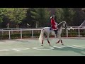 【2016.8.7】アンダルシアン ホースダンスショー＠札幌競馬場_mvi 7284