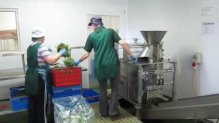 vertical vegetable packing machine