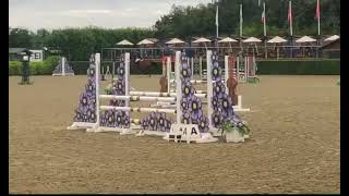Superbly Bred Young Sporthorse - ad ref: 264232 video 2
