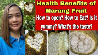 Health Benefits of Marang Fruit + How to open? How to eat? Is it yummy? What’s the taste? #healthy