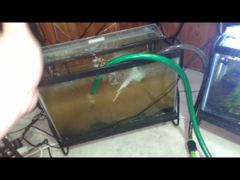 Does well water hurt fish?