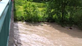 Hochwasser Surfen in der Iller