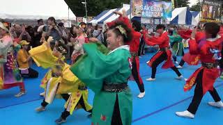 下町ハイボールフェス2024 ～ 2日目オープニング総踊り「よっちょれ」流し演舞