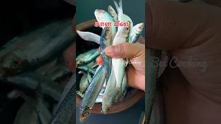 இன்னைக்கி மகனுக்கு பிடிச்ச சாள மீன் வாங்கியாச்சி#shorts #fish