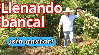 🌱Superando TRAUMA HUERTERO y preparando el nuevo bancal