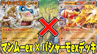 【ポケカ】新カード マンムーex デッキレシピ  (Mamoswine ex) バシャーモex ピジョットex採用 (Blaziken ex)(Pidgeot ex)【#Pokemon​】