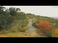 秋の若草山：autumn wakakusaya in nara