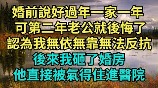 婚前說好過年一家一年， 可第二年老公就後悔了，他認為我無依無靠無法反抗，後來我砸了婚房，他直接被氣得住進醫院。【情箋故事鋪】 #情感故事  #家庭矛盾 #爽文 #故事 #小说