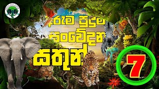 අරුම පුදුම සතුන් | ARUMA PUDUMA SATHUN  @wildlifeDs