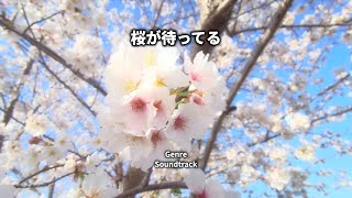 【フリーBGM 春のBGM】桜が待ってる