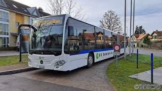 Buslinie 787 von Bhf. Oerlikon nach Ob. Wangenstrasse