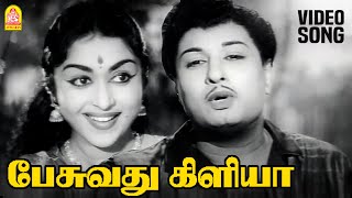 Pesuvathu Kiliya - HD Video Song | பேசுவது கிளியா | Panathottam | MGR | Saroja Devi