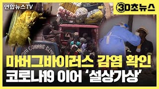 [30초뉴스] 서아프리카에 마버그바이러스…에볼라와 비슷한 치사율 / 연합뉴스TV (YonhapnewsTV)