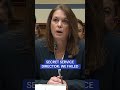 Secret Service director: 'We failed!'