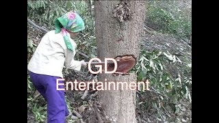 Ua Teb #12 Part 1 from GD Entertainment