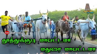 வைப்பார் பெரியமாடு பந்தயம் தூத்துக்குடி மாவட்டம்