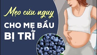 ĐỐC TƠ TRĨ: MẸO CHỮA TRĨ BẰNG QUẢ VIỆT QUẤT CHO BÀ BẦU