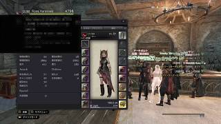 DDON 武器装備が無しになるバグの方法が判明。(ver3.2