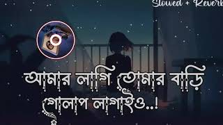 আমার লাগি তোমার বাড়ি গোলাপ লাগাইও,,, New song,,👈