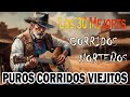 Los 30 Mejores Exitos Puros Corridos Viejitos DE LOS 90 Y 2000 - Corridos Nortenos