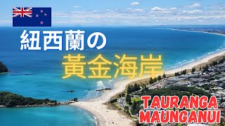 紐西蘭真的不無聊! Coromandel / Tauranga / Maunganui 2024跨年之旅