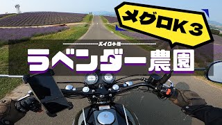 北海道の絶景とバイク / ラベンダー【北海道 / 上富良野】【メグロK3】