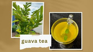 அட கொய்யா இலை டீ யா | Guava leaf tea | Healthy tea #easy #tasty #trending #simple #healthy #happy