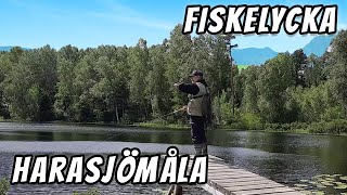 Finally Fishing in Harasjömåla | Fiskelycka