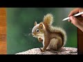 How to draw a squirrel - Time Lapse (Long Version)