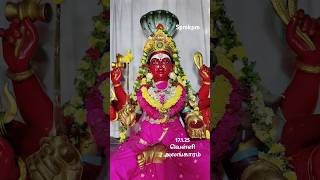 சமயபுரம் மாரியம்மன் கோவில் kpm #samayapurammariamman #amman #mariyamman #temple #shortvideo #shorts