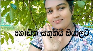 ඔයාලා හැමෝටම මන් ගොඩාක් ආදරෙයි 🥰🥰