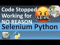 How to Fix Selenium if it Stopped Working for No Reason