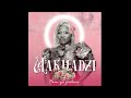 Makhadzi - Pain Ya Jealous (lyrics)