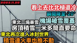 第二場雪席捲東北，氣溫驟降20度，飛機和高鐵被凍僵了，機場被白雪覆蓋，積雪連火車也推不動！排隊的人像極北極科考隊!哈爾濱陷入冰封世界，#東北現狀#東北旅遊#哈爾濱現狀#真實購物團#寒潮#童話世界#大雪